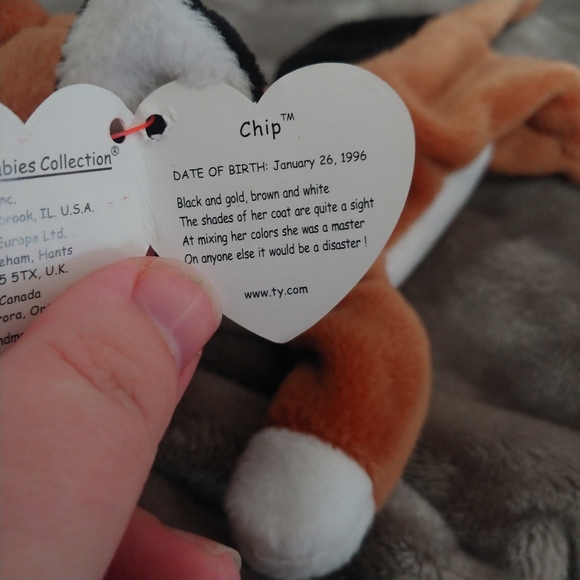 RARE TY "Chip" Beanie Baby, 1996 PVC & ERRORS - Picture 8 of 12